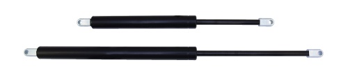 L-651